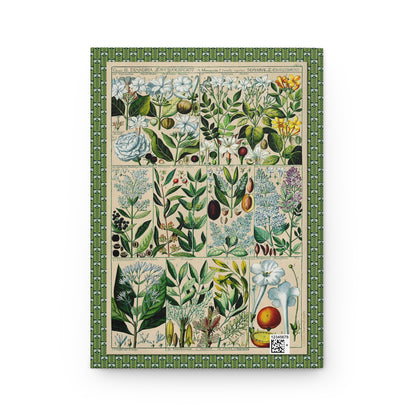 Diandria back cover with ornate green border design, Gessner Tabulae Phytographicae Zurich 1795, full-wrap composition - LeBonJournal