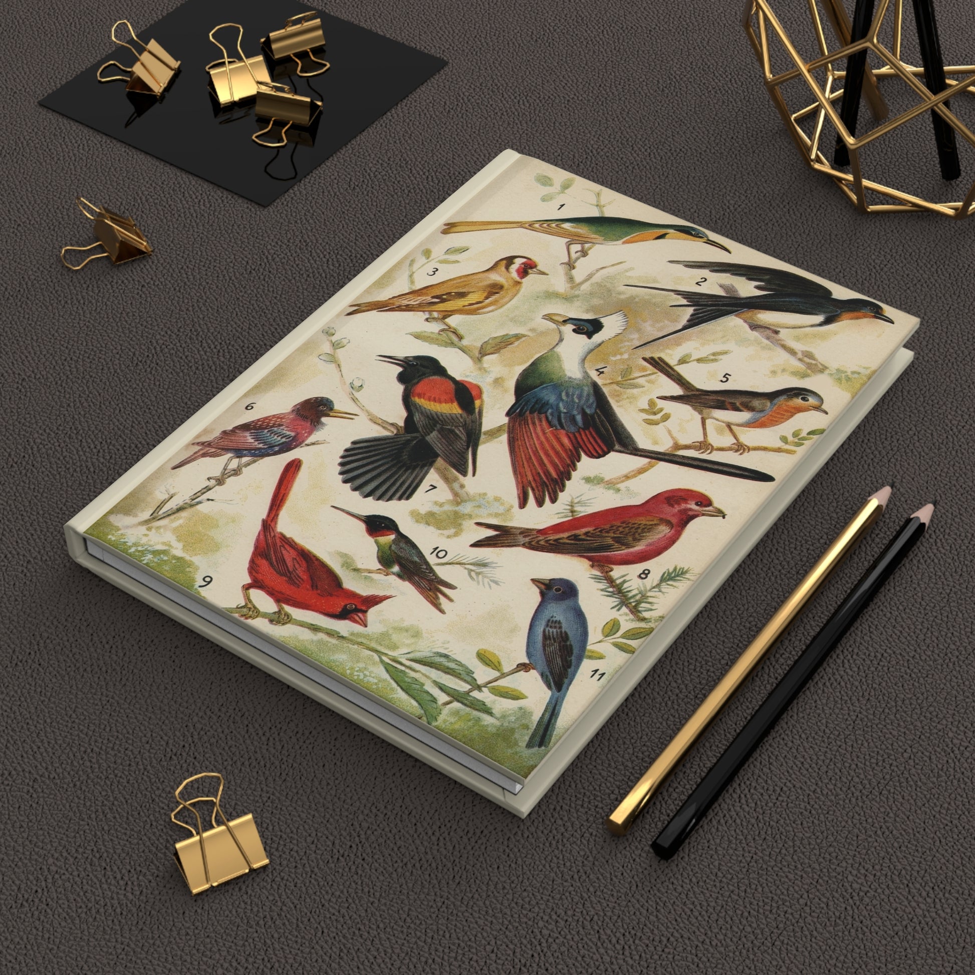 Diccionario Enciclopedico Salvat bird journal on workspace celebrating mid-century ornithology illustration - LeBonJournal
