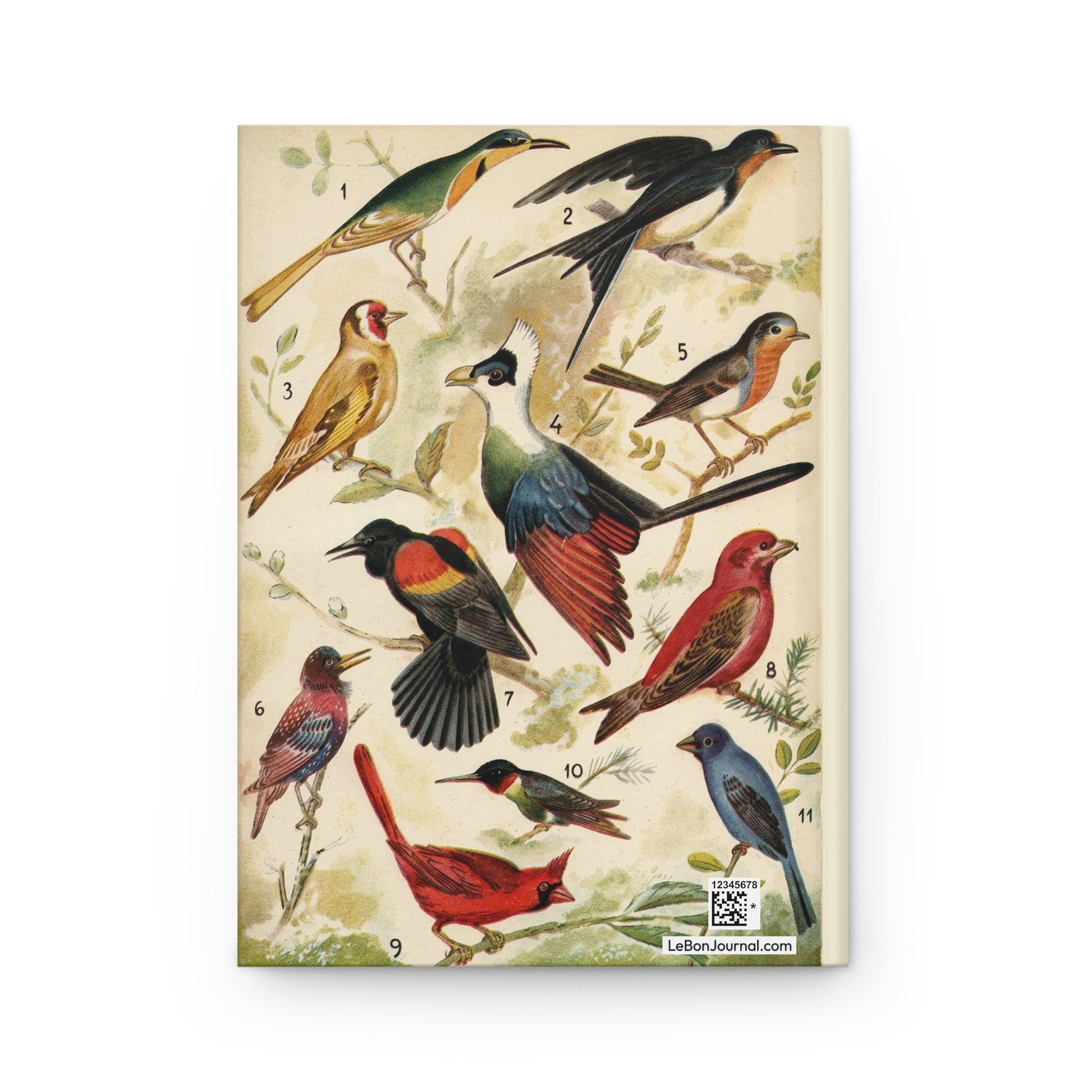 Diccionario Enciclopedico Salvat ornithology plate back cover Indigo Bunting Turaco Goldfinch - LeBonJournal
