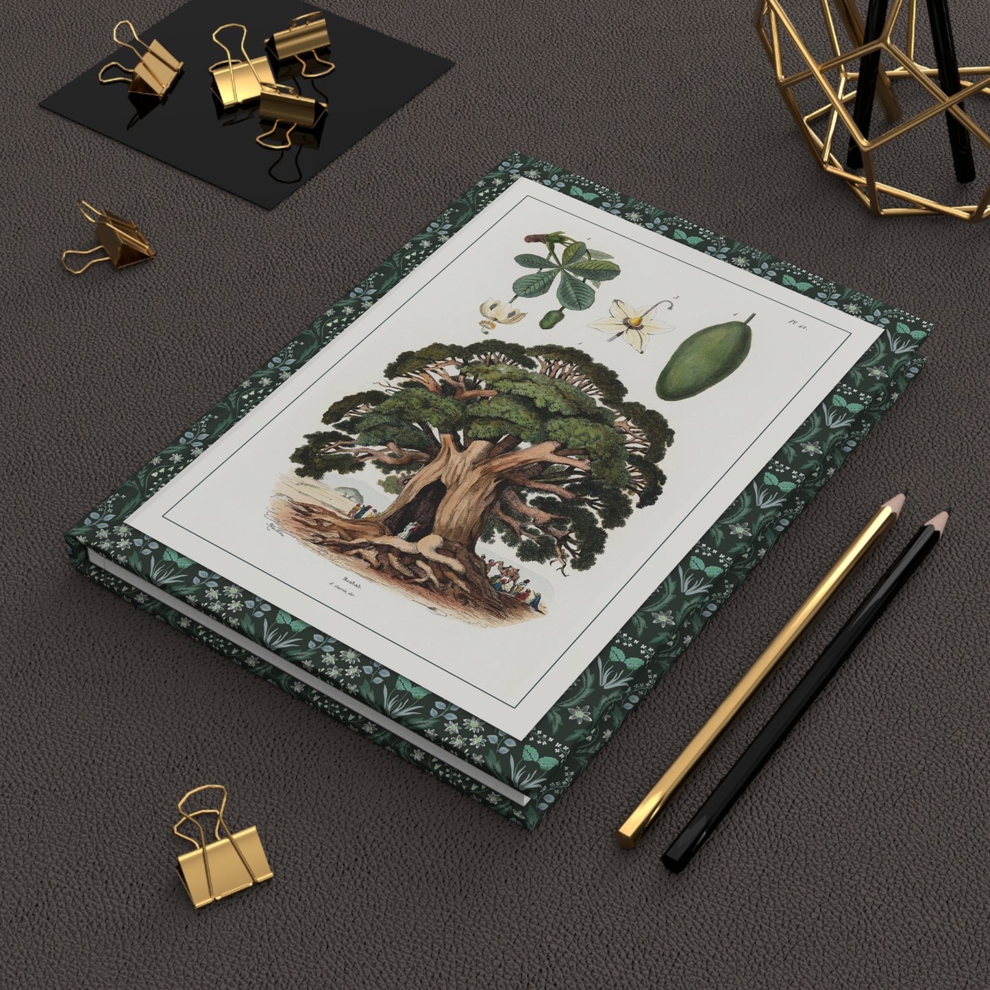 Dictionnaire pittoresque 1833 baobab and beech journal on workspace celebrating French natural history illustration - LeBonJournal