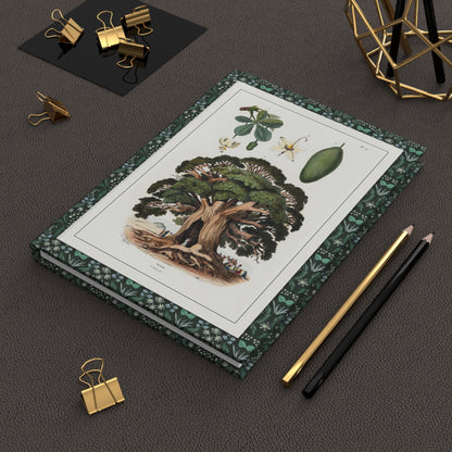 Dictionnaire pittoresque 1833 baobab and beech journal on workspace celebrating French natural history illustration - LeBonJournal
