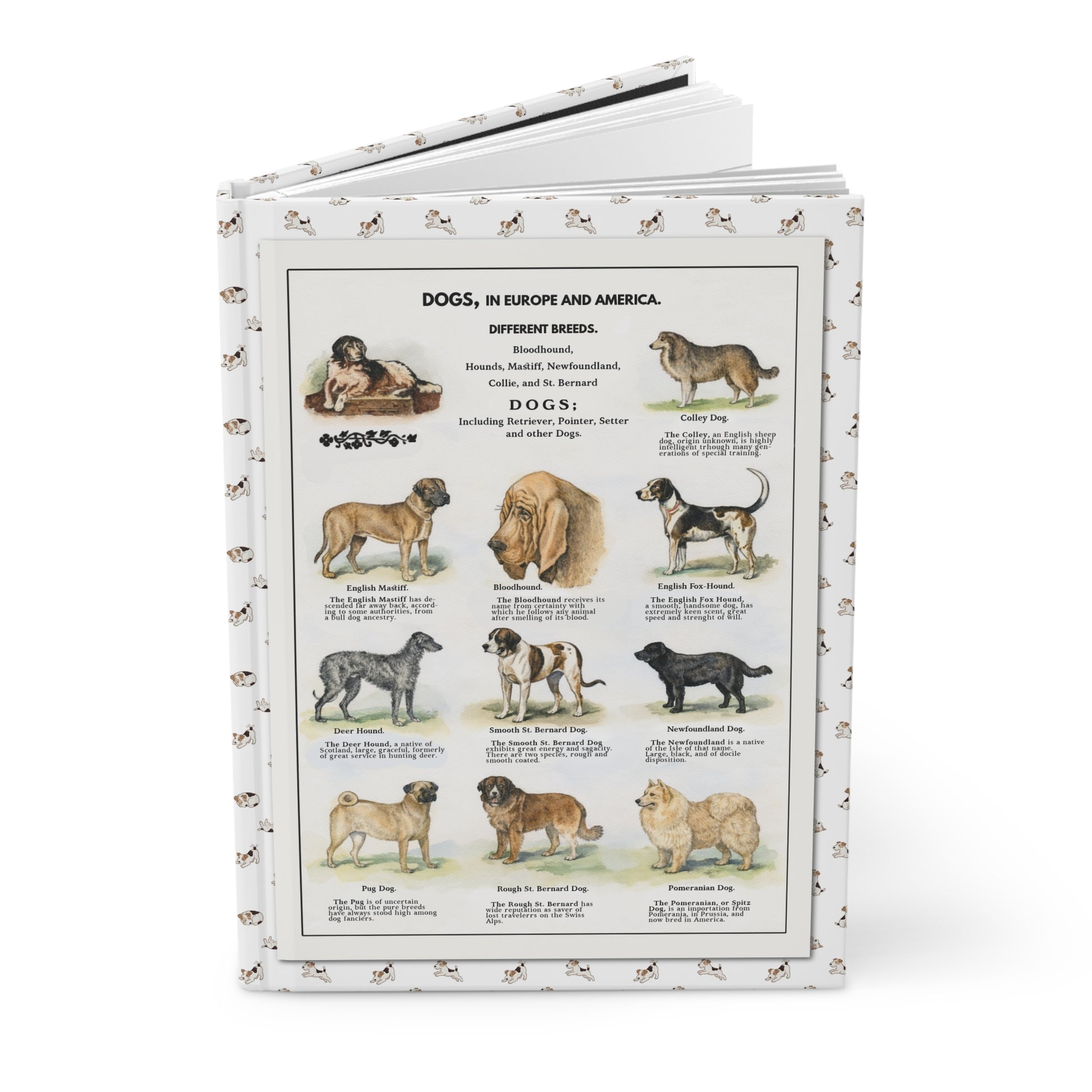 Dog breeds journal Thomas E. Hill 1915 watercolor Collie Mastiff St. Bernard terriers 22 breeds - LeBonJournal
