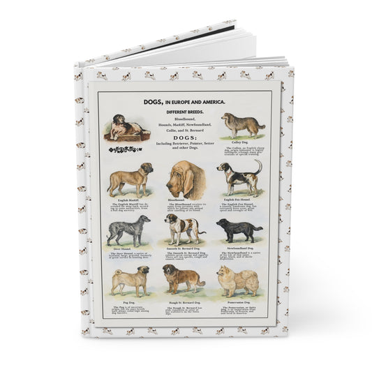 Dog breeds journal Thomas E. Hill 1915 watercolor Collie Mastiff St. Bernard terriers 22 breeds - LeBonJournal
