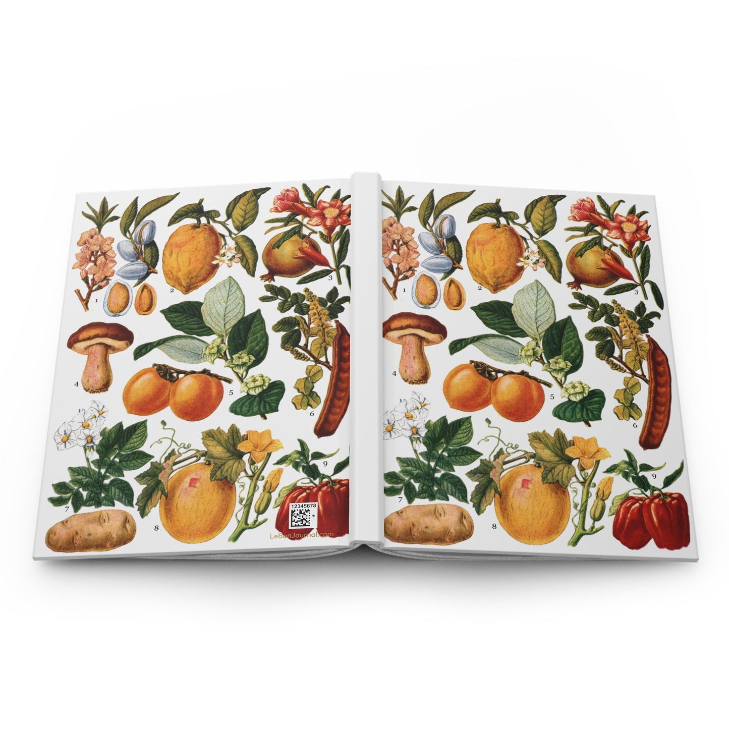 Edible fruits hardcover journal spine full-wrap El Tesoro de la Juventud botanical plate vintage - LeBonJournal
