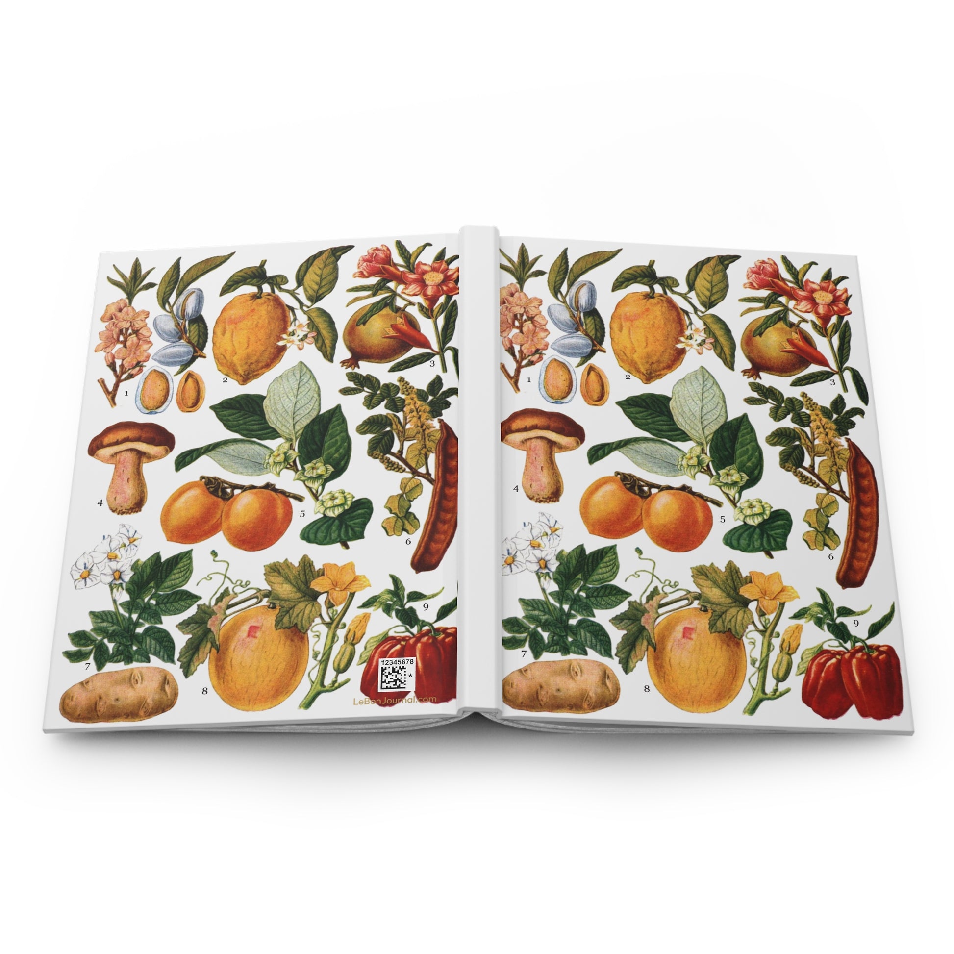 Edible fruits hardcover journal spine full-wrap El Tesoro de la Juventud botanical plate vintage - LeBonJournal
