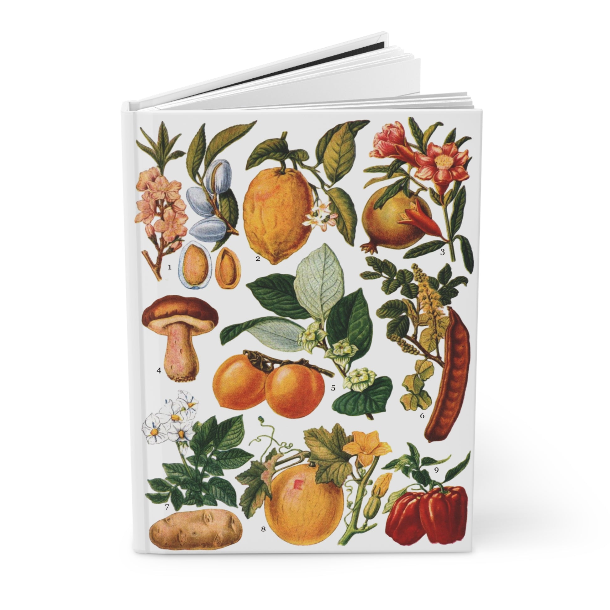 Edible fruits journal El Tesoro de la Juventud almond pomegranate porcini lemon pepper botanical plate - LeBonJournal
