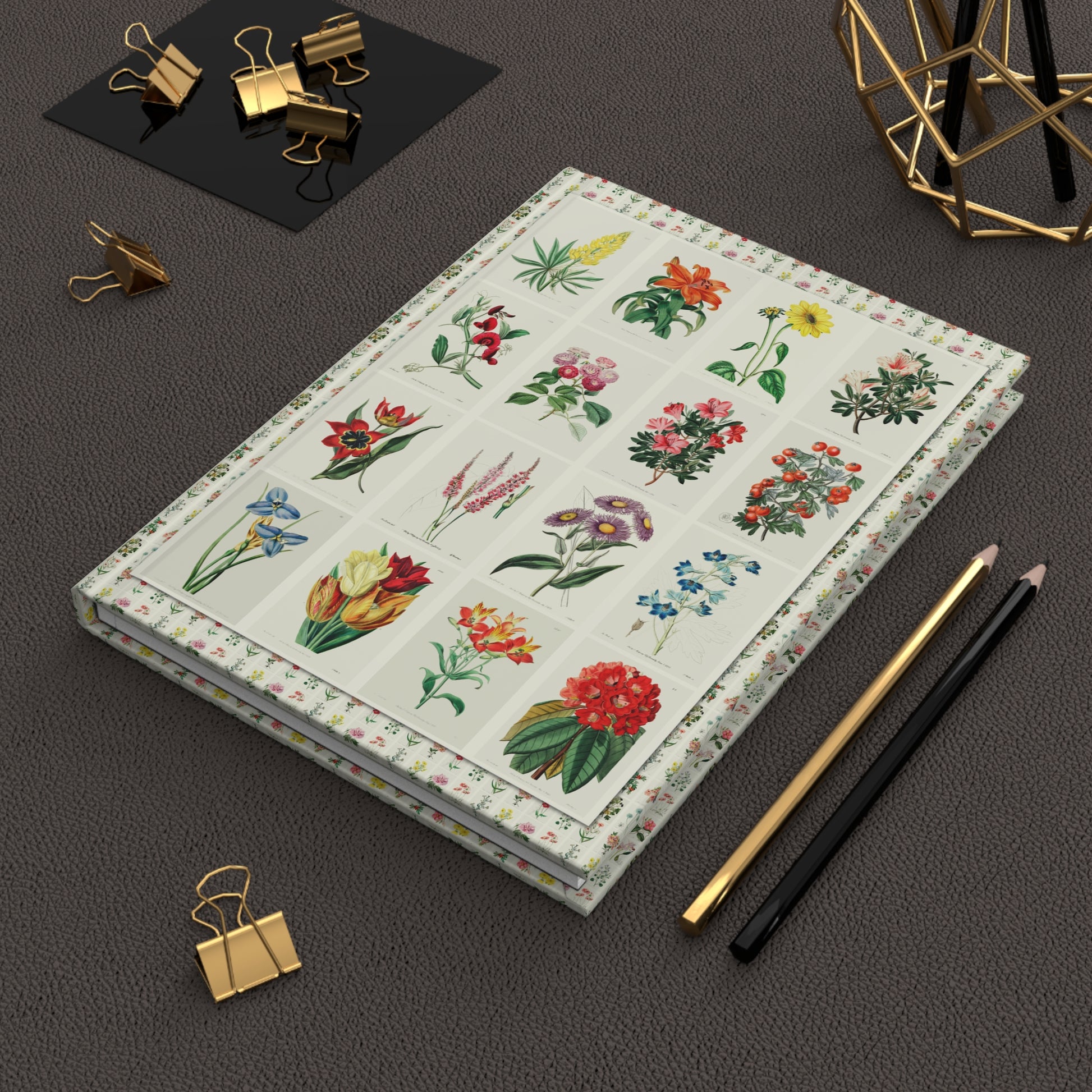 Edwards's Botanical Register journal on workspace celebrating Victorian horticulture - LeBonJournal
