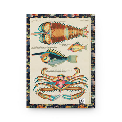 Eenhoorn Licorne unicorn fish, Catjang-radi crab and Tafel-Kreeft lobster back cover, Plate XLVII Louis Renard 1754 second edition - LeBonJournal