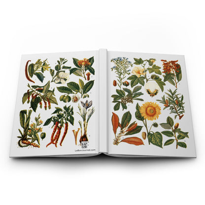 Botanical blank journal open at spine showing El Tesoro de la Juventud 1913 industrial plants and aromatic spices full-wrap covers - LeBonJournal