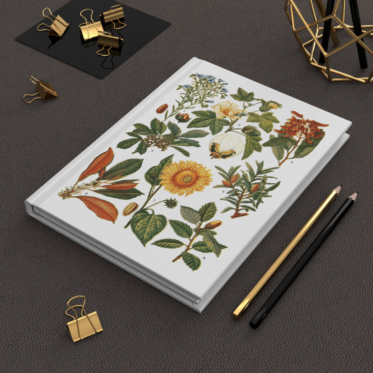 El Tesoro de la Juventud 1913 botanical blank journal lying flat on dark desk with gold binder clips and pencil - LeBonJournal