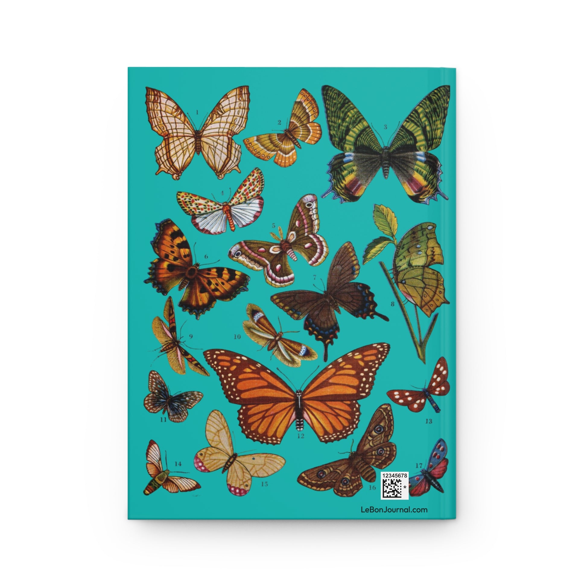 El Tesoro de la Juventud Lepidoptera plate back cover Monarch Peacock Saturnia teal - LeBonJournal
