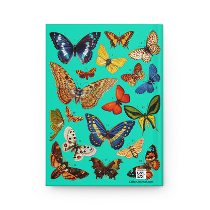 El Tesoro de la Juventud Lepidoptera plate back cover Luna Moth Paradise Birdwing turquoise - LeBonJournal
