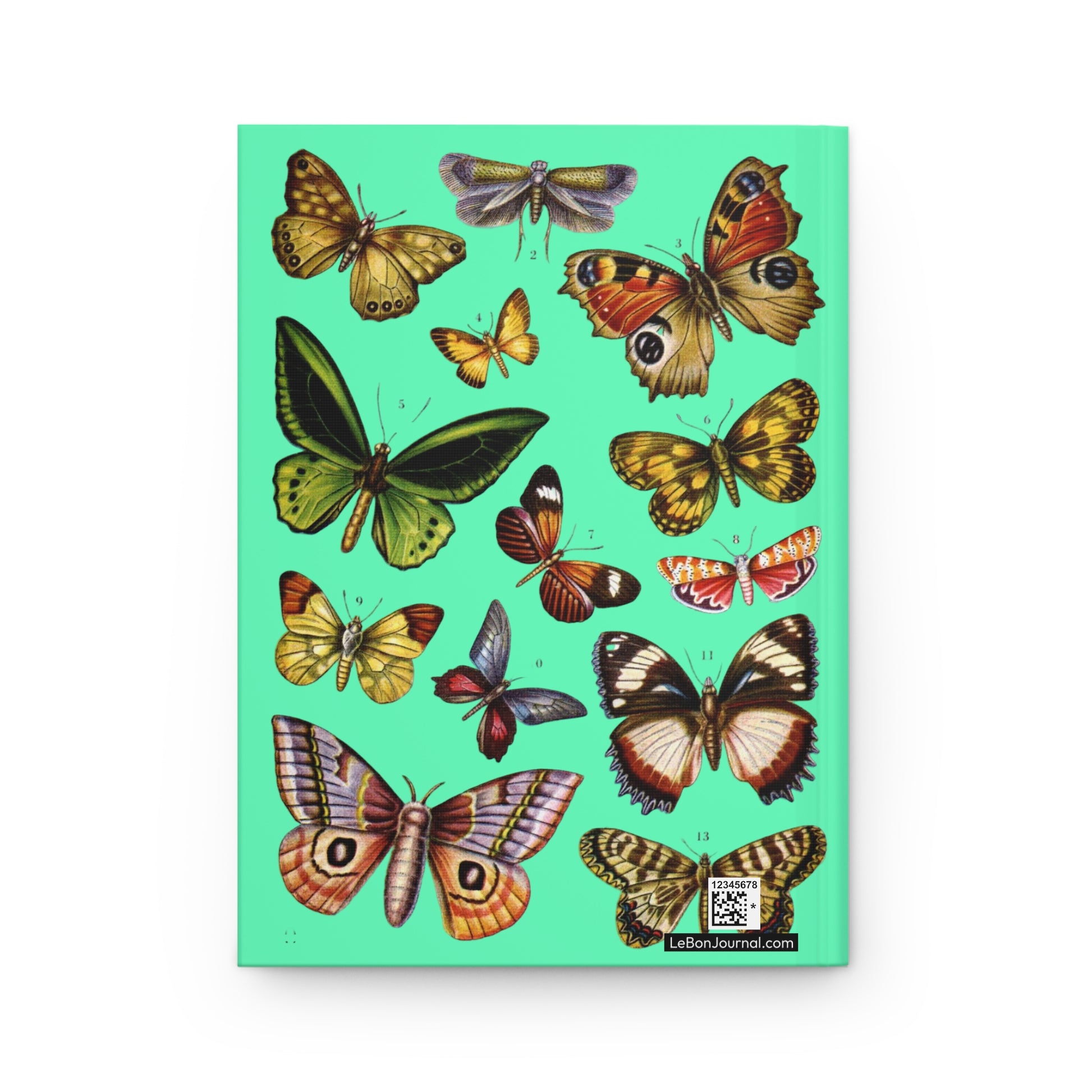 El Tesoro de la Juventud Lepidoptera plate back cover Madagascar Diadem Peacock Moth mint green - LeBonJournal
