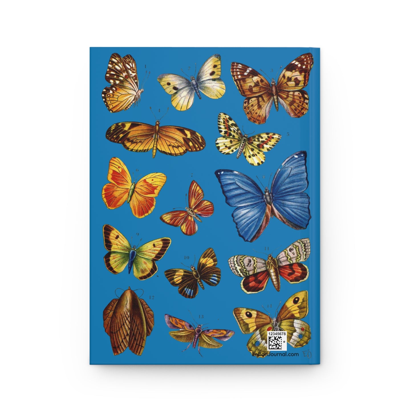 El Tesoro de la Juventud Lepidoptera plate back cover Morpho Julia Magpie Moth blue background - LeBonJournal
