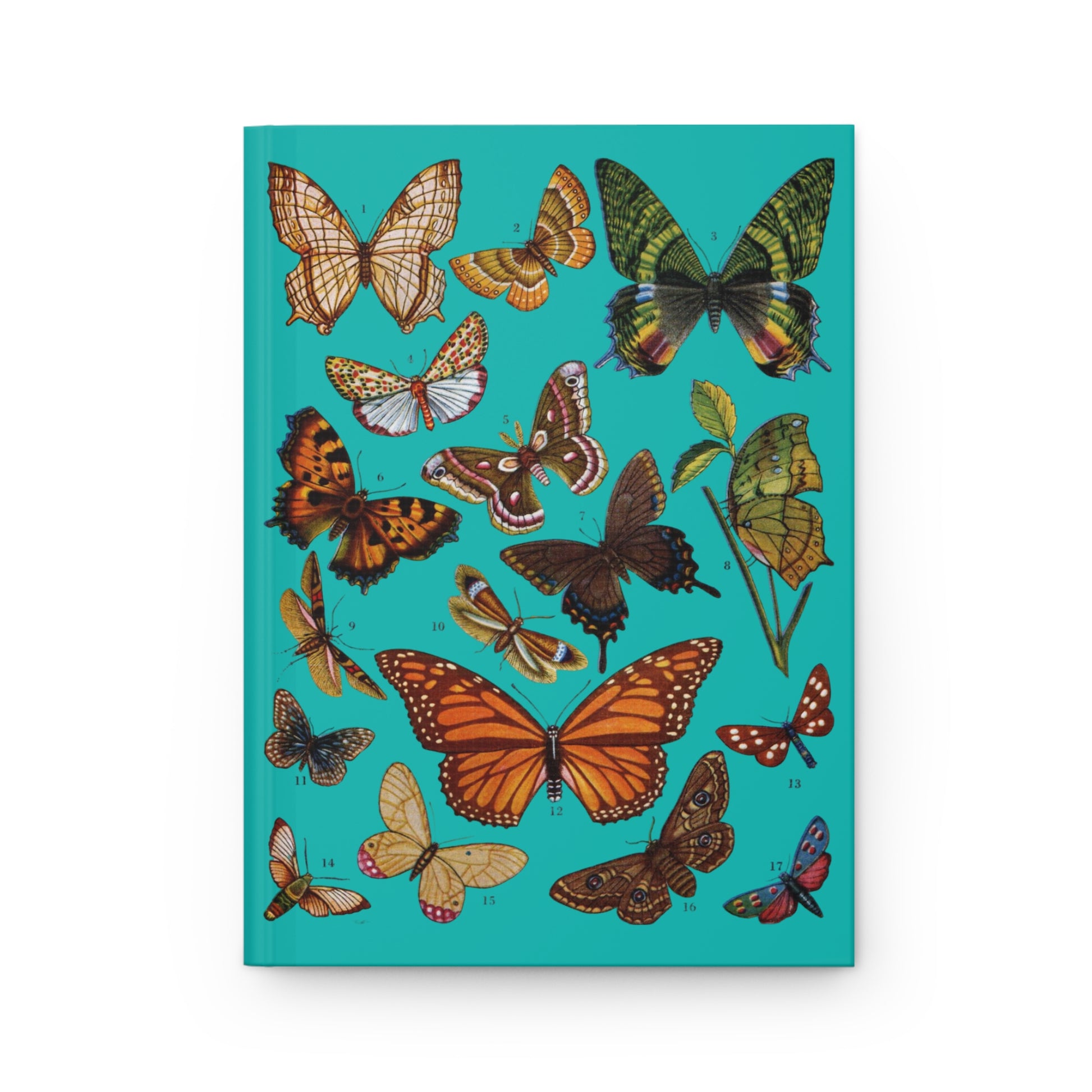 El Tesoro de la Juventud Lepidoptera plate front cover 17 butterfly moth species teal background - LeBonJournal
