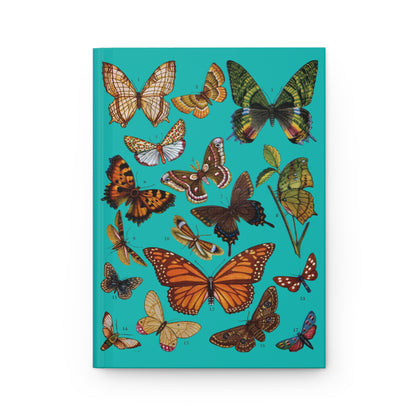El Tesoro de la Juventud Lepidoptera plate front cover 17 butterfly moth species teal background - LeBonJournal
