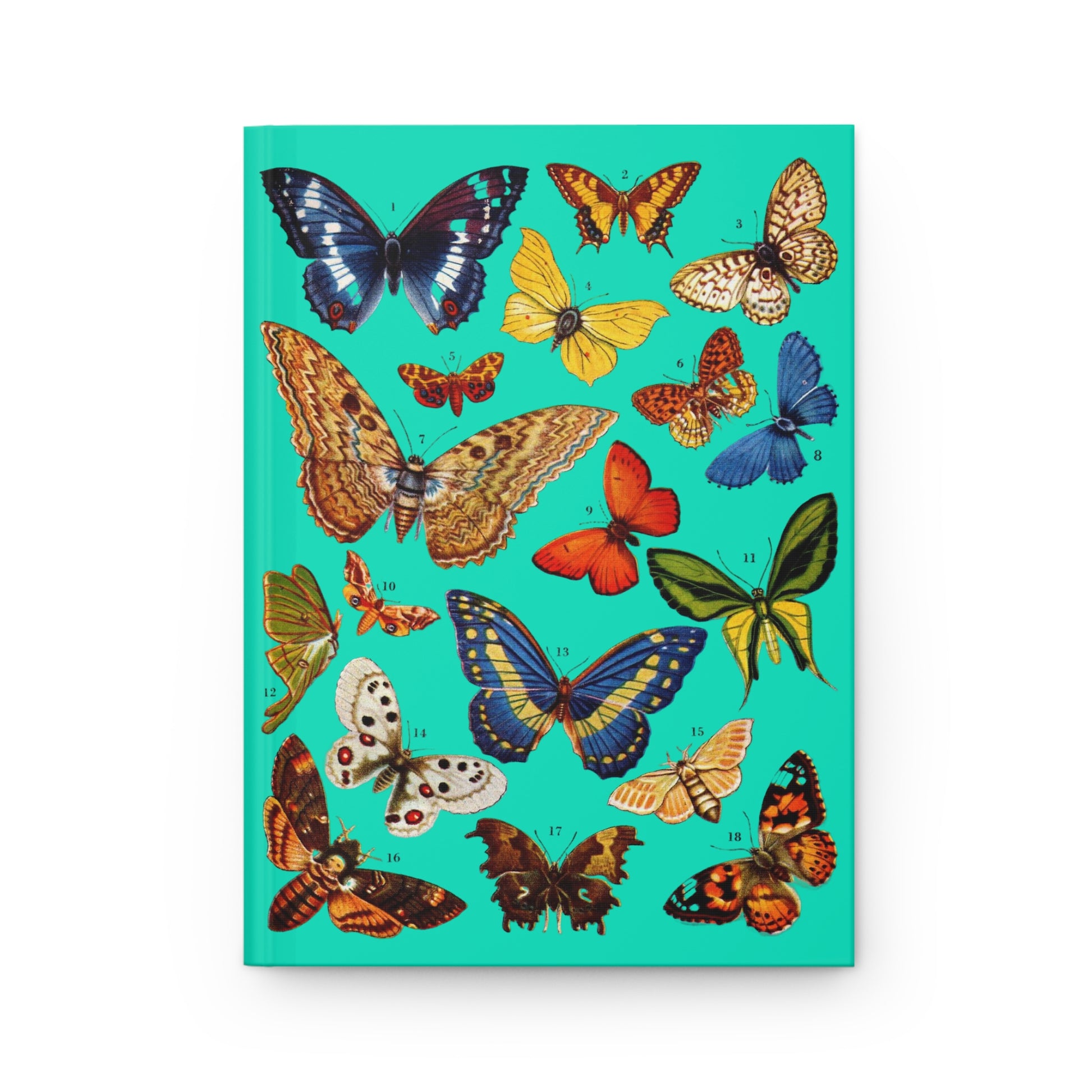 El Tesoro de la Juventud Lepidoptera plate front cover Death's-Head Hawkmoth 18 species turquoise - LeBonJournal
