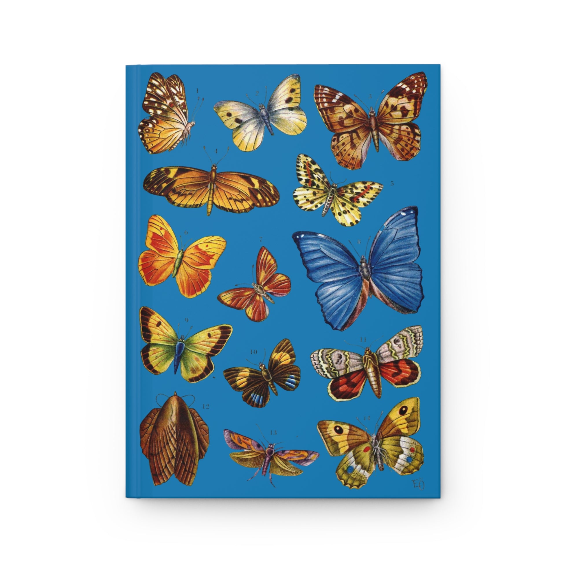 El Tesoro de la Juventud Lepidoptera plate front cover Blue Morpho menelaus 14 species blue - LeBonJournal
