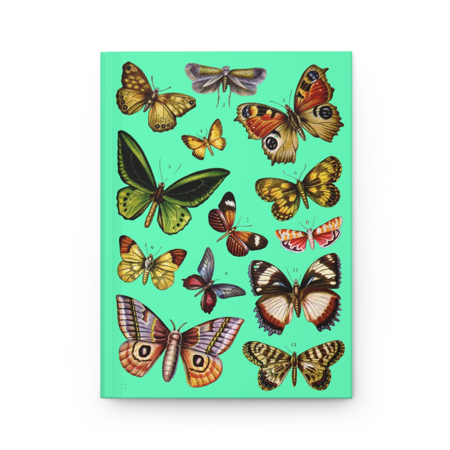 El Tesoro de la Juventud Lepidoptera plate front cover Ornithoptera priamus Birdwing mint green - LeBonJournal
