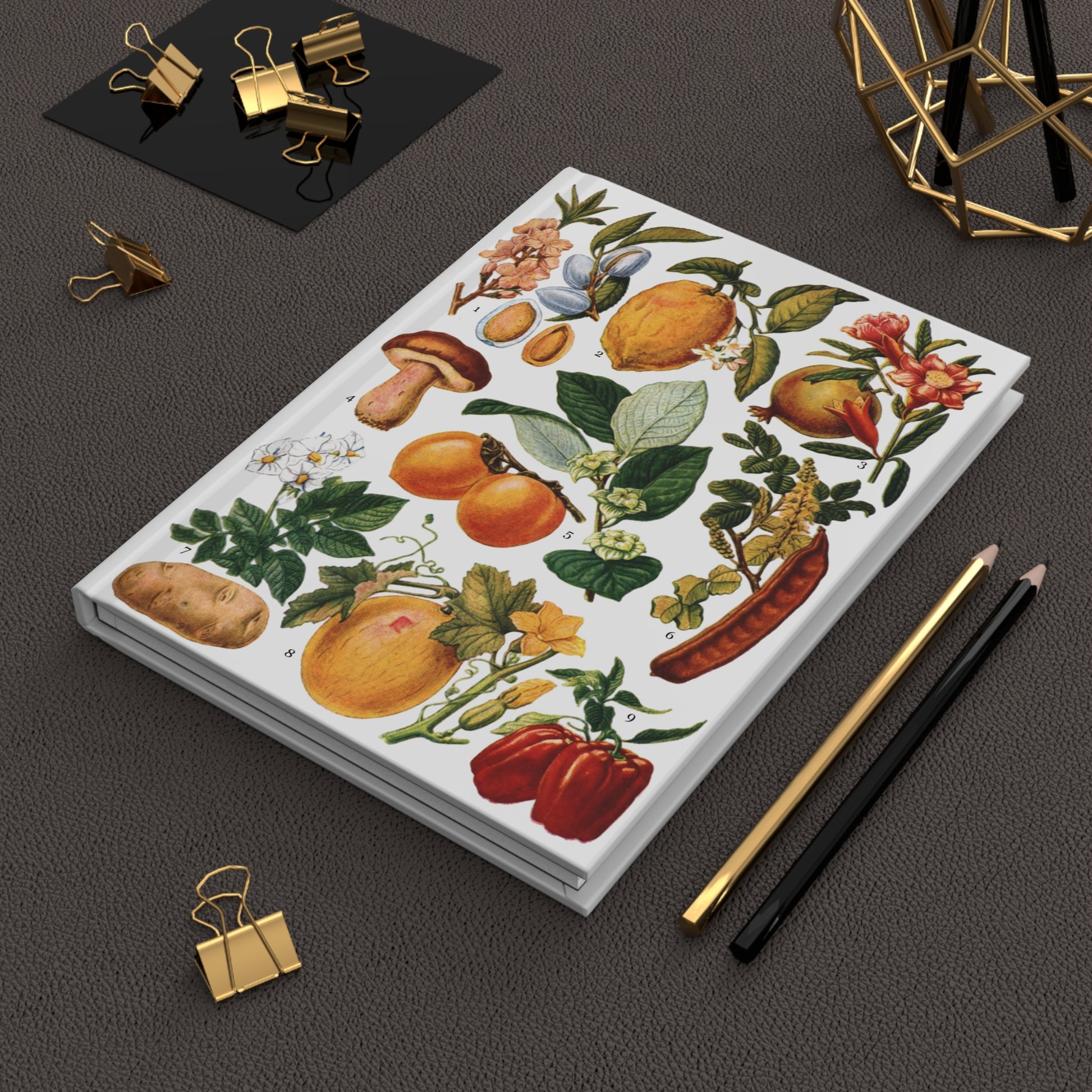 El Tesoro de la Juventud edible fruits journal on workspace celebrating Latin American encyclopedia heritage - LeBonJournal
