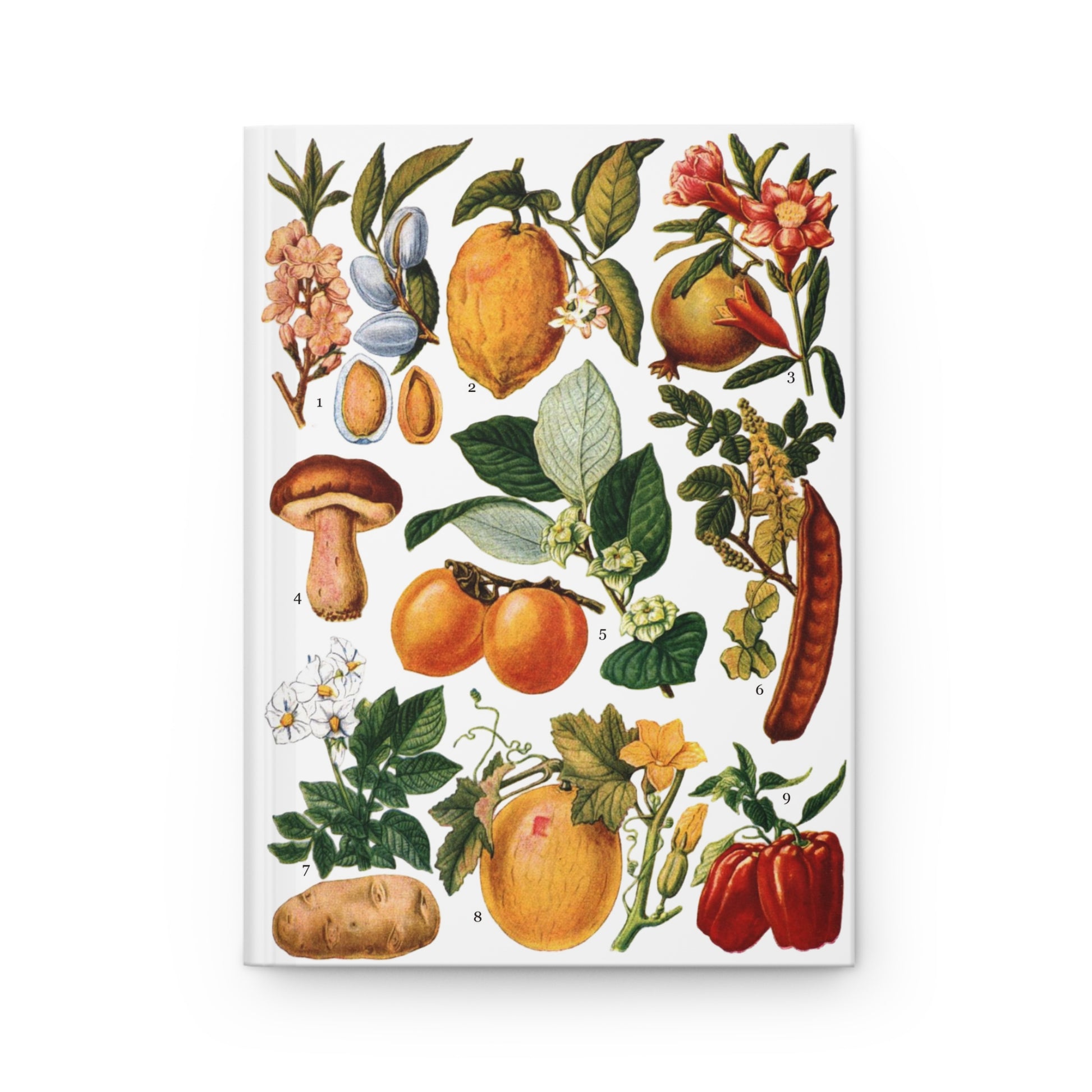 El Tesoro de la Juventud edible fruits plate almond pomegranate porcini medlar carob potato melon pepper - LeBonJournal
