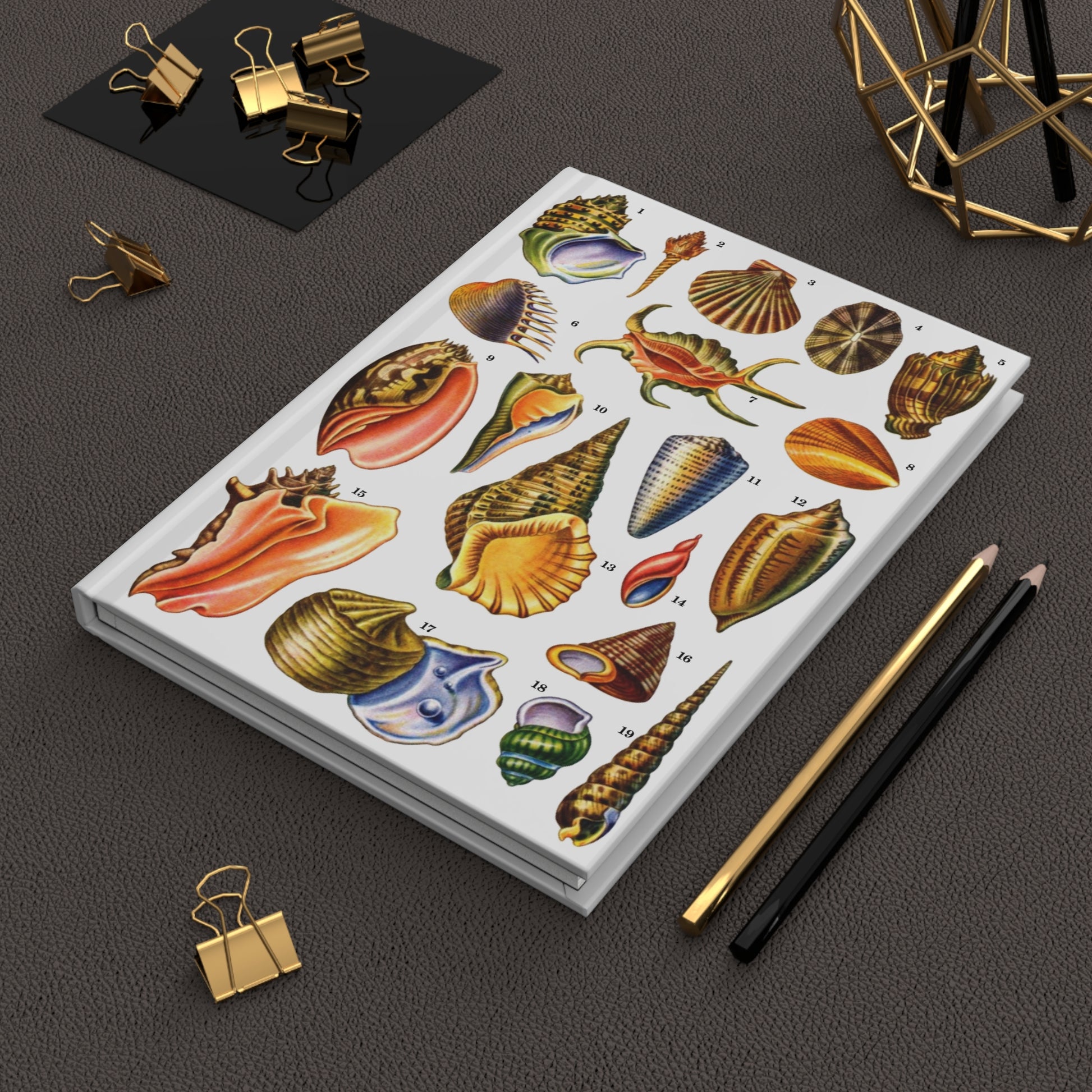 El Tesoro de la Juventud gastropod seashell journal on workspace celebrating ocean mollusc diversity - LeBonJournal
