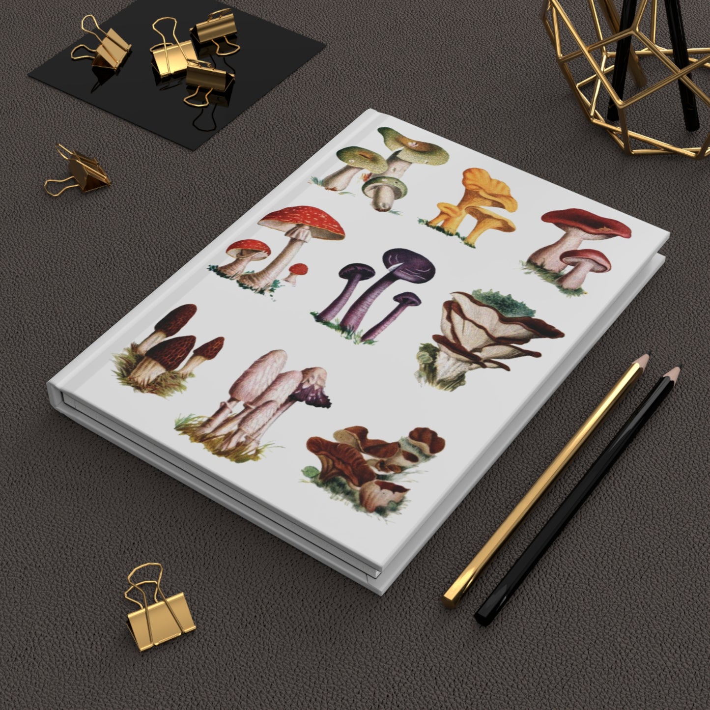 El Tesoro de la Juventud mushroom journal on workspace celebrating educational mycology - LeBonJournal
