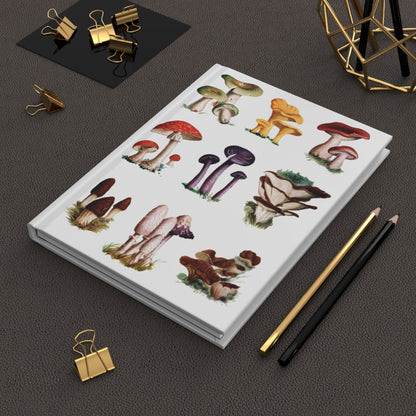 El Tesoro de la Juventud mushroom journal on workspace celebrating educational mycology - LeBonJournal
