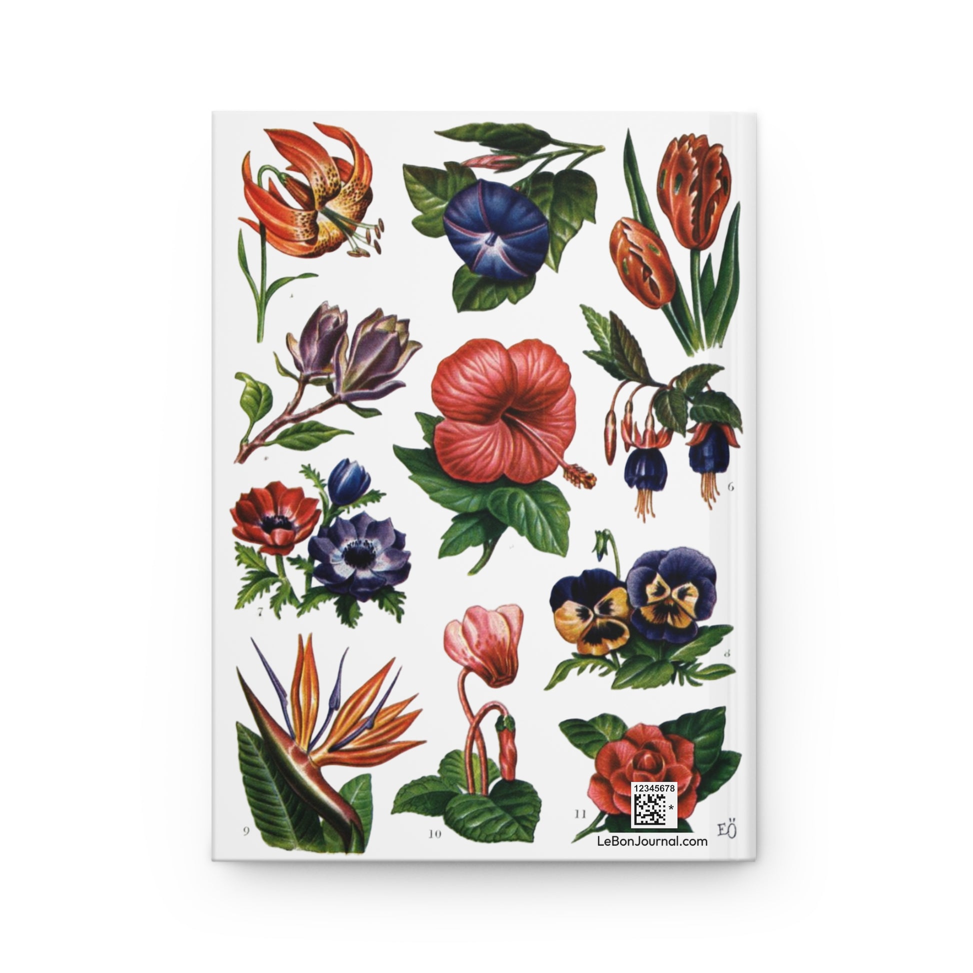 El Tesoro de la Juventud ornamental flowers plate back cover Martagon Lily Pansy Cyclamen white - LeBonJournal

