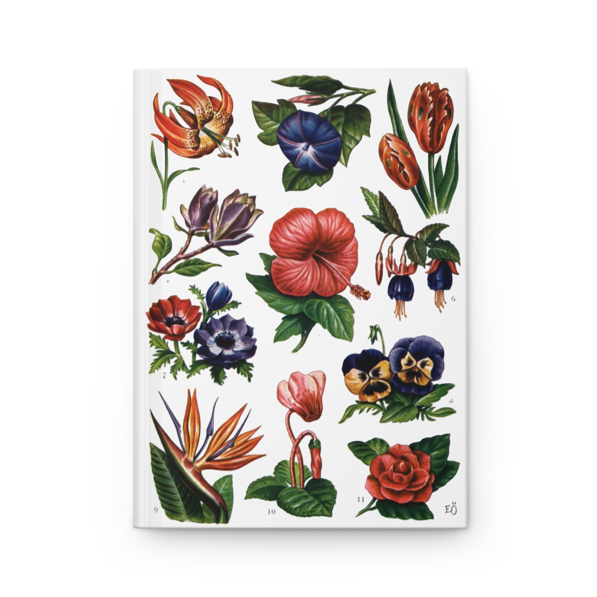 El Tesoro de la Juventud ornamental flowers plate front cover Bird of Paradise Hibiscus Camellia white - LeBonJournal
