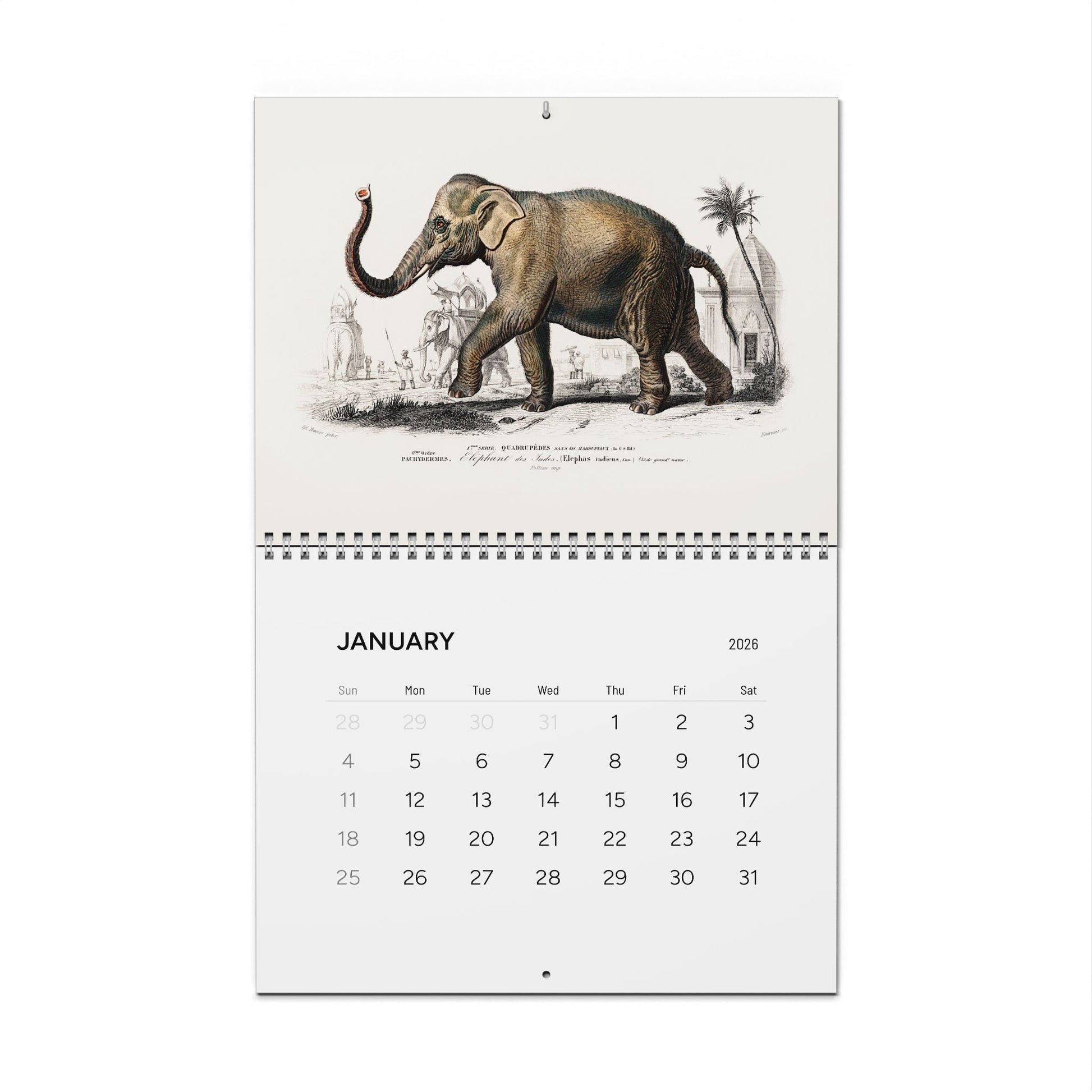 Front cover and January Asiatic elephant engraving from D'Orbigny 1849 Dictionnaire Histoire Naturelle calendar - LeBonJournal