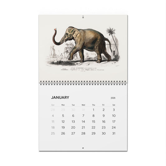 Front cover and January Asiatic elephant engraving from D'Orbigny 1849 Dictionnaire Histoire Naturelle calendar - LeBonJournal