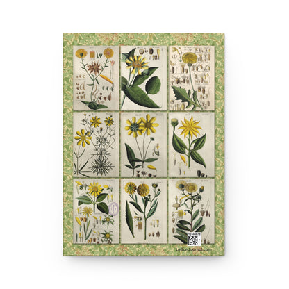 Five European meadow wildflower species back cover from Christian Schkuhr Botanisches Handbuch 1808, early 19th-century German botanical line work - LeBonJournal