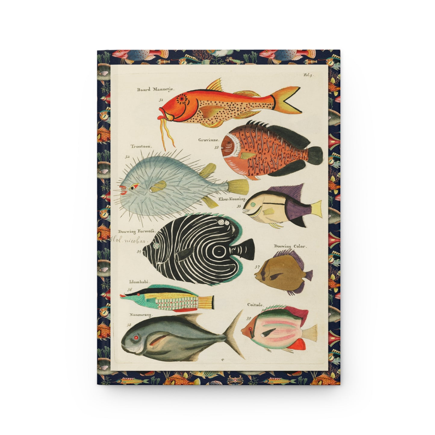 Fallours Moluccas fish front cover Folio 5 with Baard Mannetje, Gravinne and Emperor Angelfish, Louis Renard 1719 hand-coloured engraving Amsterdam - LeBonJournal
