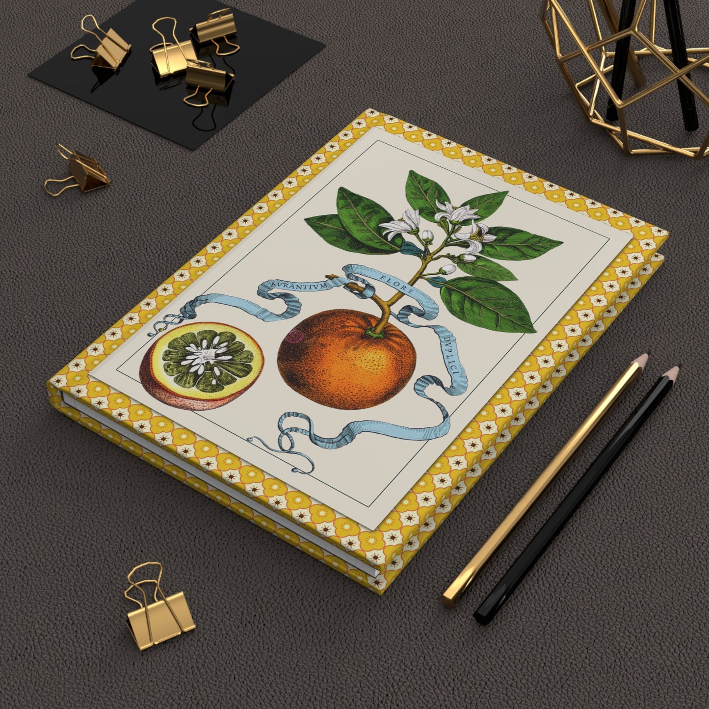 Ferrari 1646 Hesperides citrus journal on workspace celebrating Baroque botanical science and the first book of citrus in history - LeBonJournal