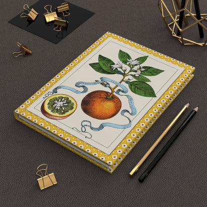 Ferrari 1646 Hesperides citrus journal on workspace celebrating Baroque botanical science and the first book of citrus in history - LeBonJournal
