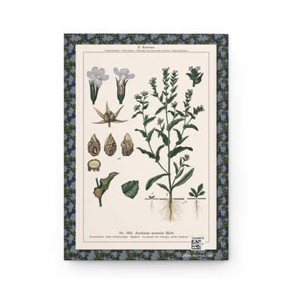 Field Forget-me-not Small Bugloss back cover from Emil Korsmo 1934-1938 showing Boraginaceae root systems botanical weed chart - LeBonJournal
