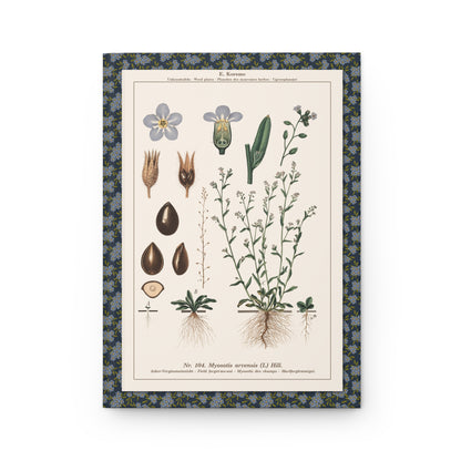 Field Forget-me-not Small Bugloss front cover from Emil Korsmo 1934-1938 Plate LXVIII showing Myosotis arvensis Anchusa arvensis - LeBonJournal
