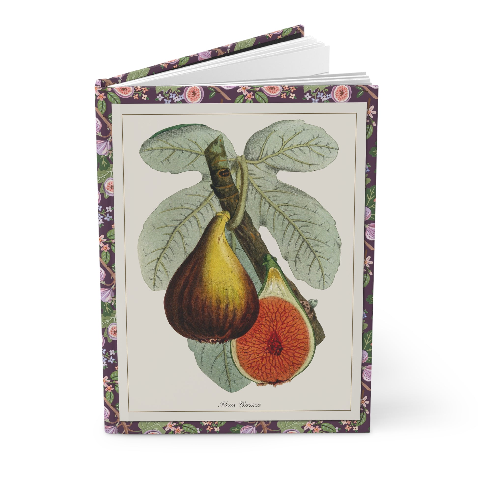 Ficus carica hardcover journal standing vertically slightly open showing lined pages, Macfarlane 1872 botanical zincograph cover with purple fig border - LeBonJournal