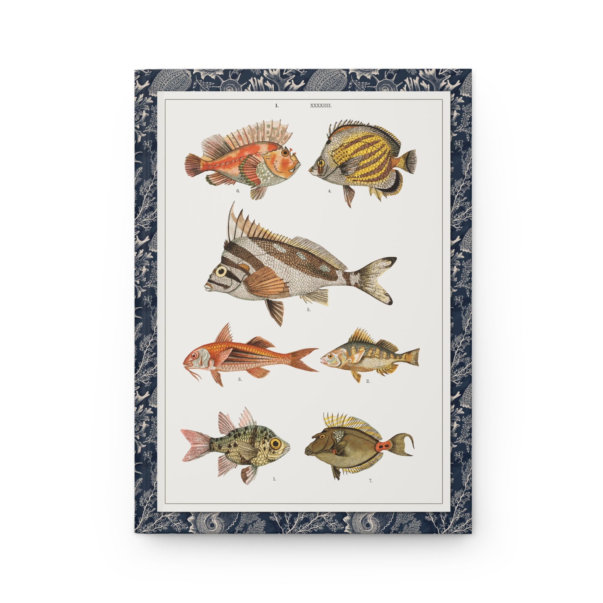 Fish Plate 044 front cover by Gustav von Hayek, Wielki atlas zoologii 1887, Austro-Hungarian chromolithograph - LeBonJournal