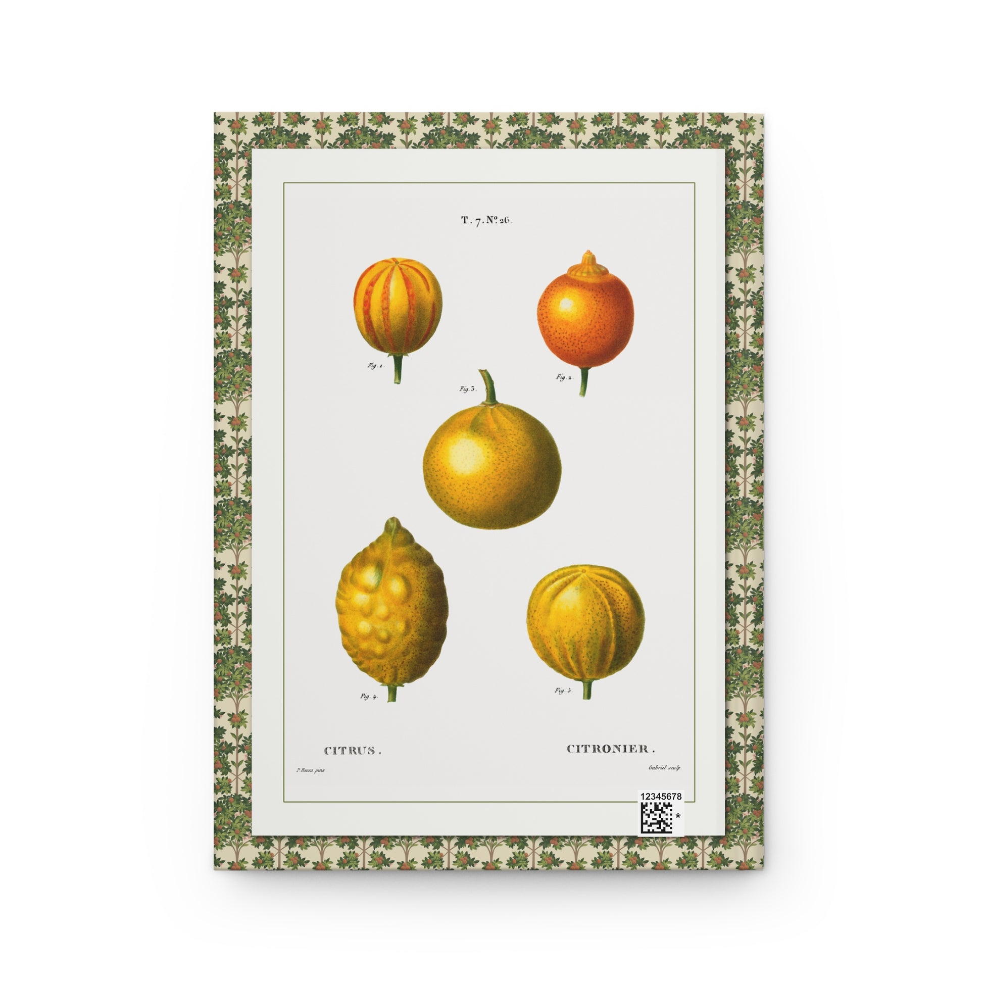 Five citrus varieties back cover Bessa Plate 26 L'Herbier Général stipple engraving - LeBonJournal
