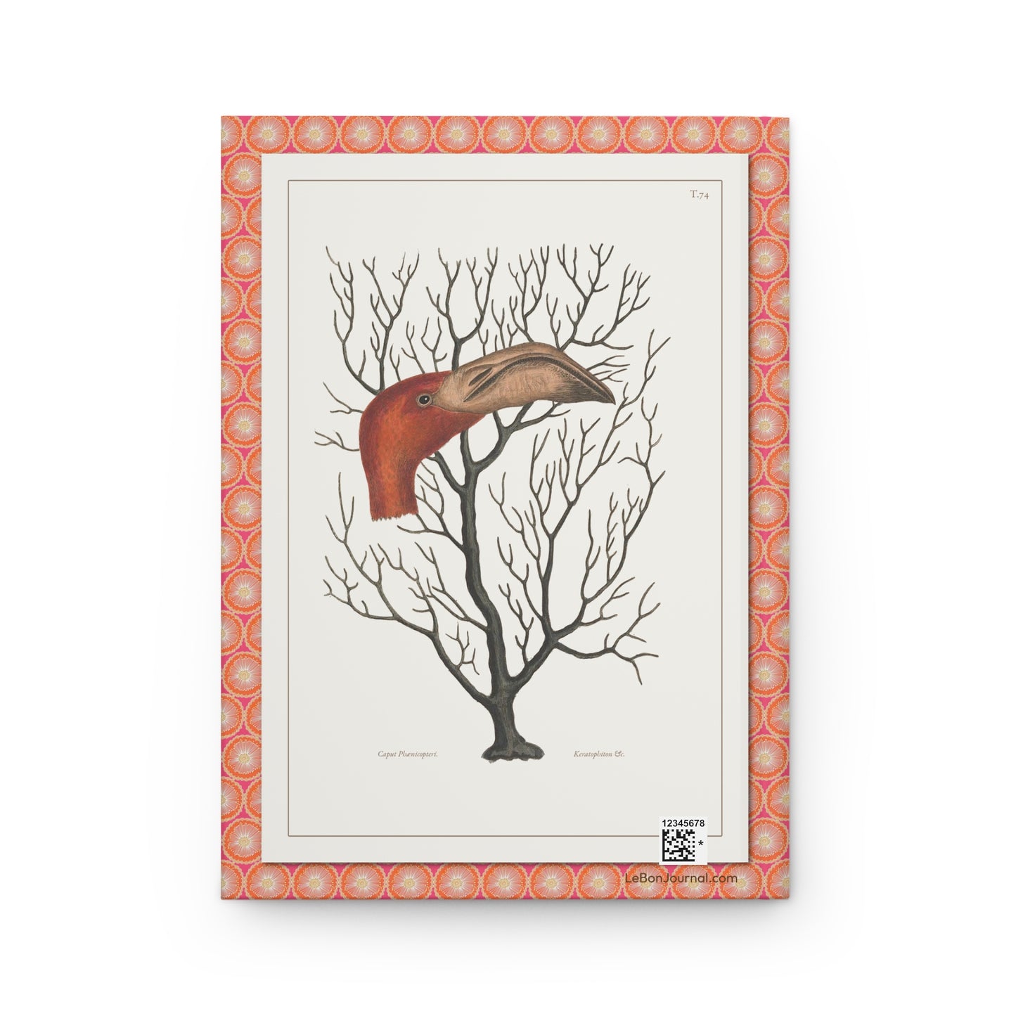 Back cover of Flamingo journal featuring Mark Catesby Plate 74 detailed flamingo bill illustration with gorgonian coral, anatomical precision from Natural History of Carolina - LeBonJournal