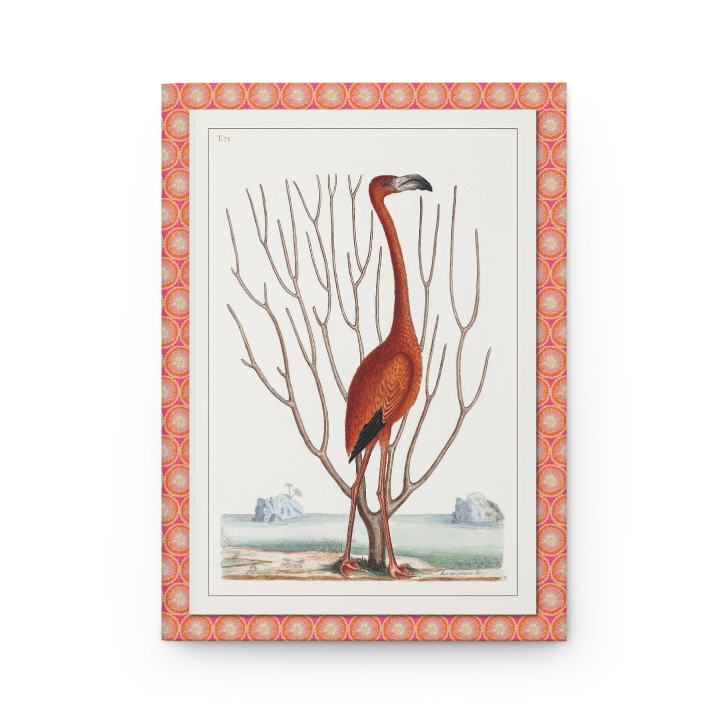 Front cover of Flamingo journal featuring Mark Catesby Plate 73 hand-colored etching with American Flamingo and sea fan coral from Bahama Islands on premium matte hardcover - LeBonJournal