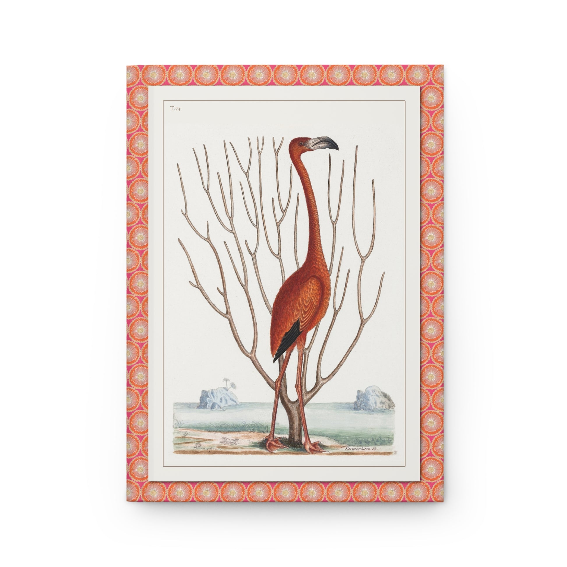 Front cover of Flamingo journal featuring Mark Catesby Plate 73 hand-colored etching with American Flamingo and sea fan coral from Bahama Islands on premium matte hardcover - LeBonJournal