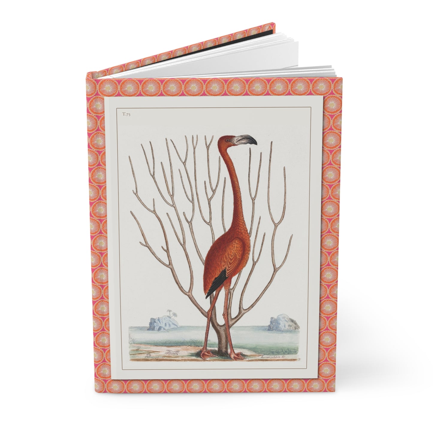 Hardcover flamingo journal standing upright showing front cover with Mark Catesby 1731 Phoenicopterus Bahamensis illustration featuring American Flamingo with Keratophyton coral from Natural History of Carolina on matte finish cover - LeBonJournal