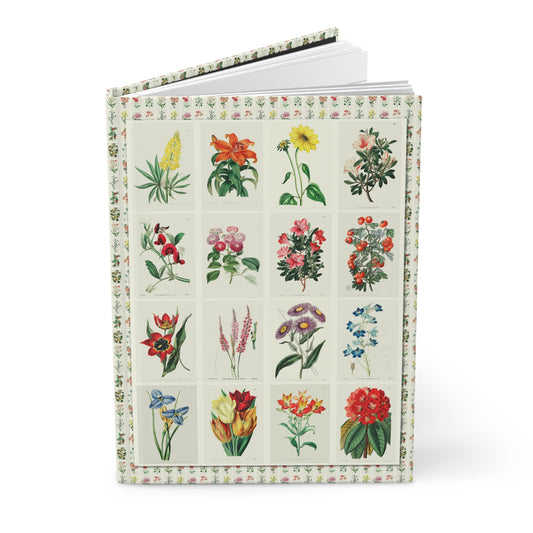 Floral journal Edwards's Botanical Register 1815 Sarah Drake lilies roses azaleas orchids hand-colored engravings - LeBonJournal
