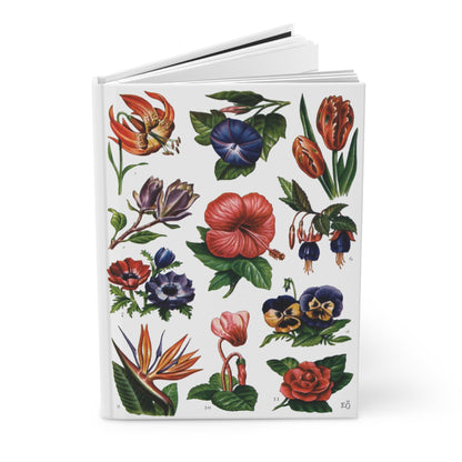 Floral journal El Tesoro de la Juventud ornamental flowers plate Strelitzia Magnolia Camellia 11 species white - LeBonJournal

