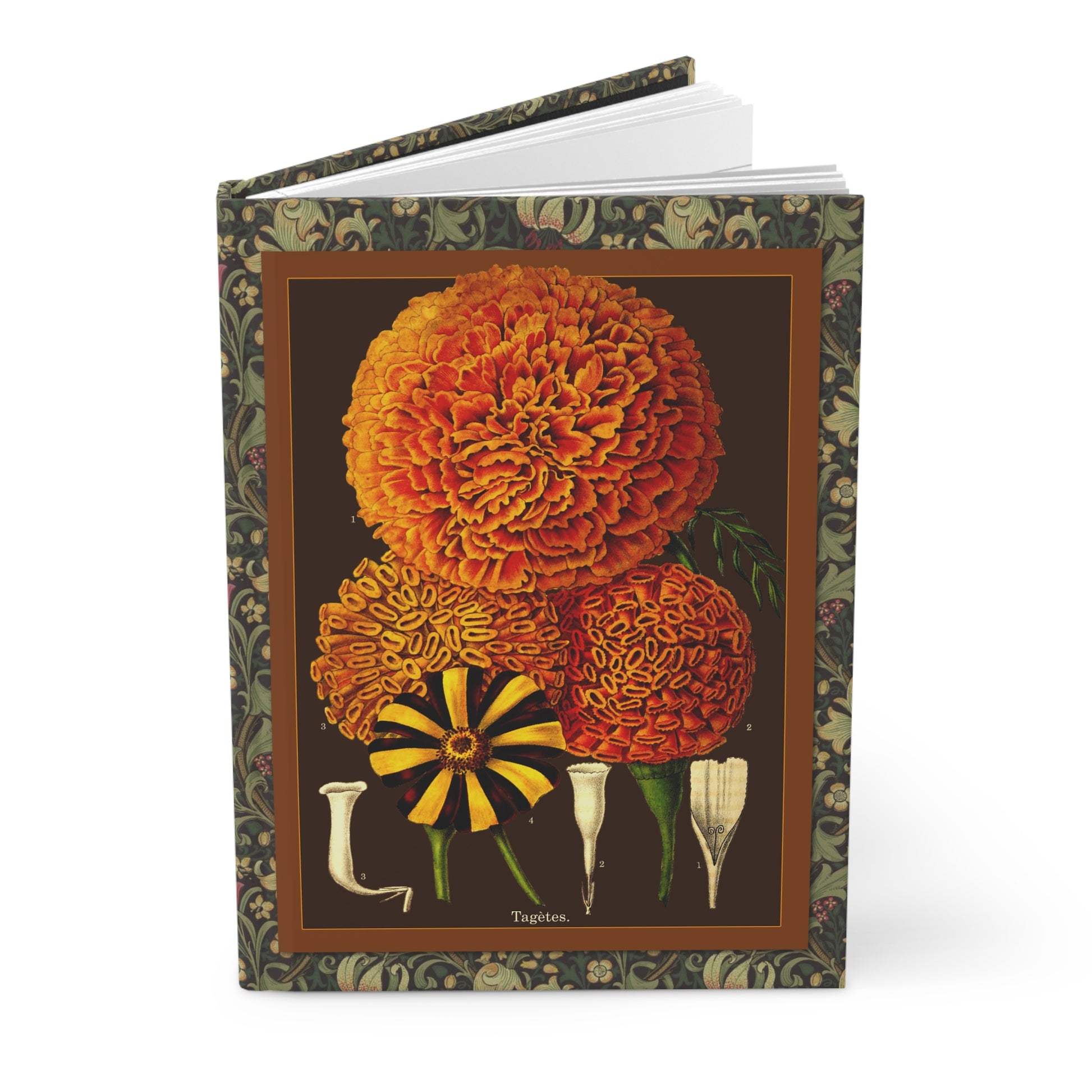 Floral journal L'Illustration Horticole 1870 Tagetes marigold front Oeillets de Verviers carnation back brown - LeBonJournal
