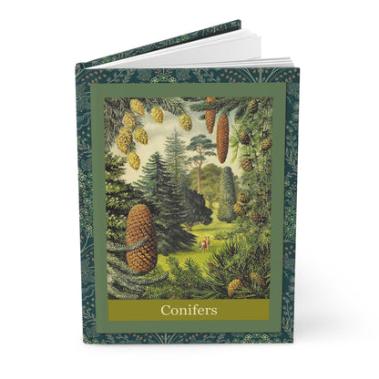 Forest journal C.F. Tunnicliffe Forestry Commission Conifers Broadleaves 1968 Herbert Edlin - LeBonJournal

