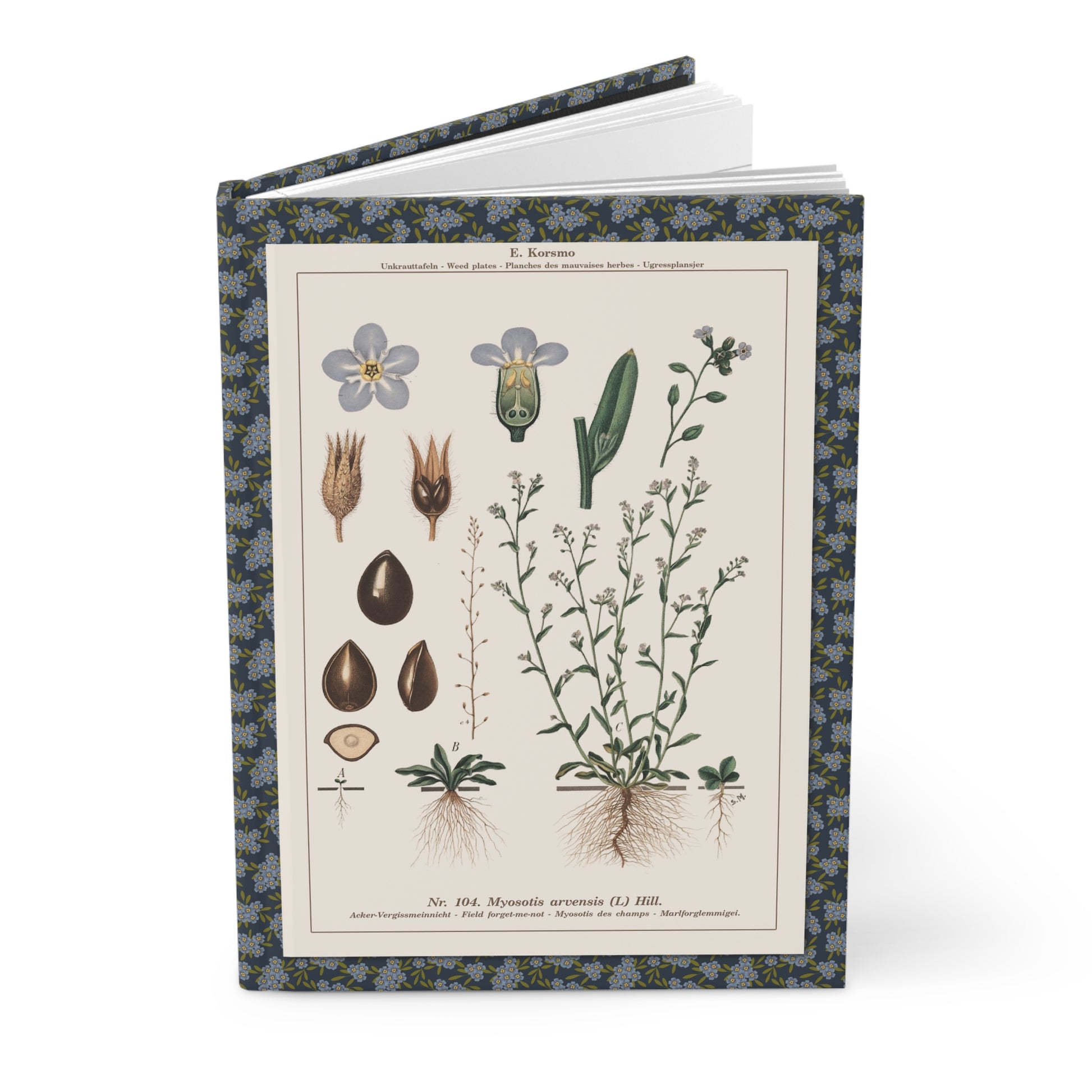 Forget me not journal with Emil Korsmo 1934-1938 botanical weed plates showing Field Forget-me-not Myosotis Small Bugloss - LeBonJournal

